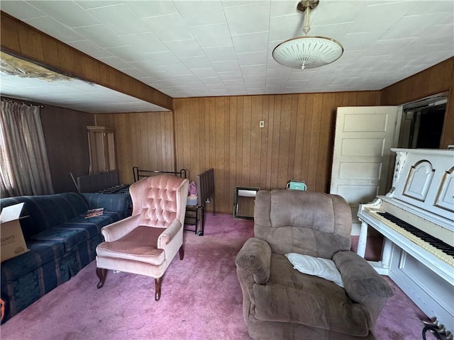 69 Beech St, Cecil, PA 15350 - living room with wood walls and carpet floors