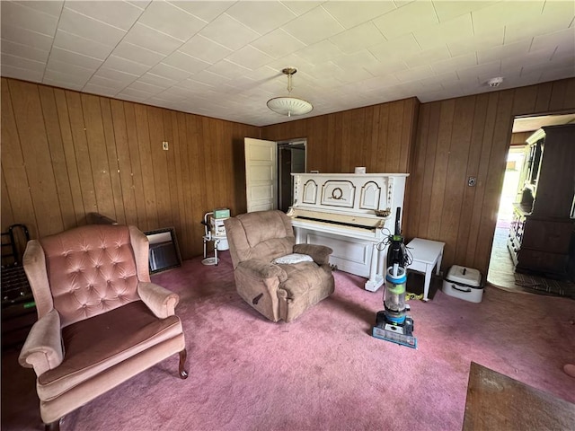 69 Beech St, Cecil, PA 15350 - living area featuring carpet floors and wooden walls