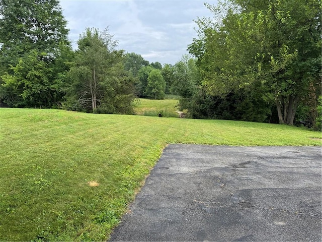 118 Manchester Dr, Hempfield Twp, PA 15642 - view of green lawn with a forest view