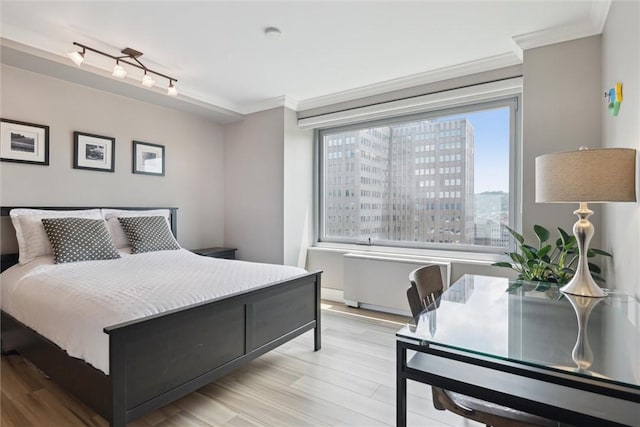 320 Fort Duquesne Blvd Unit 23L, Downtown Pgh, PA 15222 - bedroom featuring radiator heating unit, ornamental molding, and light wood finished floors