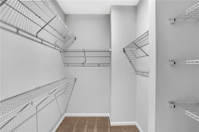 222 Amon St, Cranberry Twp, PA 16066 - walk in closet with carpet floors