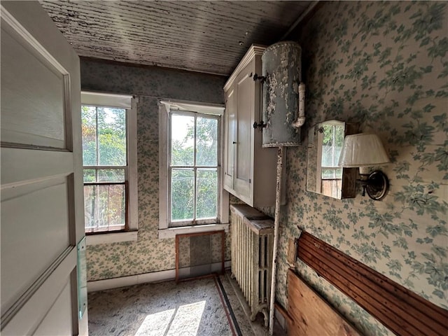 653 Upr Middletown Rd, Menallen Twp, PA 15480 - interior space featuring radiator