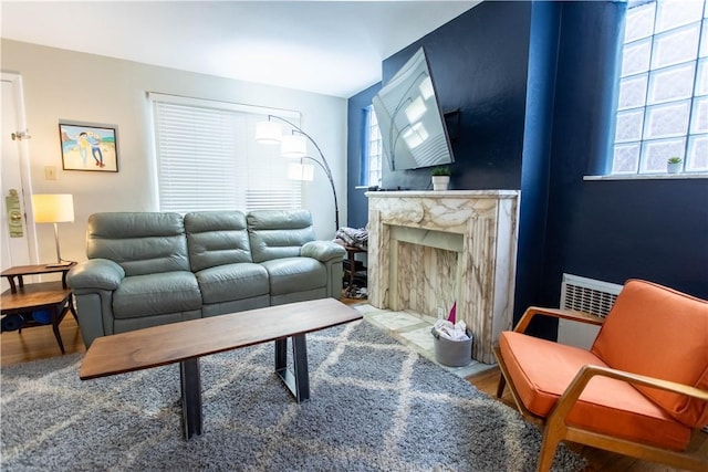 5553 Pocusset St, Squirrel Hill, PA 15217 - living room with wood finished floors and a fireplace