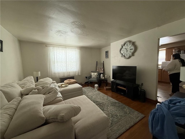 1201 Illinois Ave, Dormont, PA 15216 - living area with radiator and dark wood-type flooring