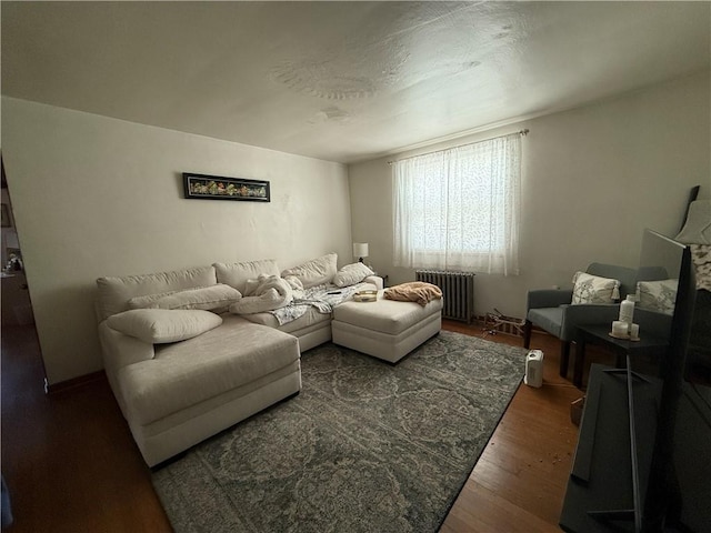 1201 Illinois Ave, Dormont, PA 15216 - living area with radiator and wood finished floors