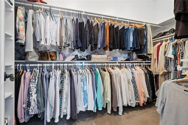 1416 Commons Ln, South Fayette, PA 15017 - spacious closet featuring carpet flooring