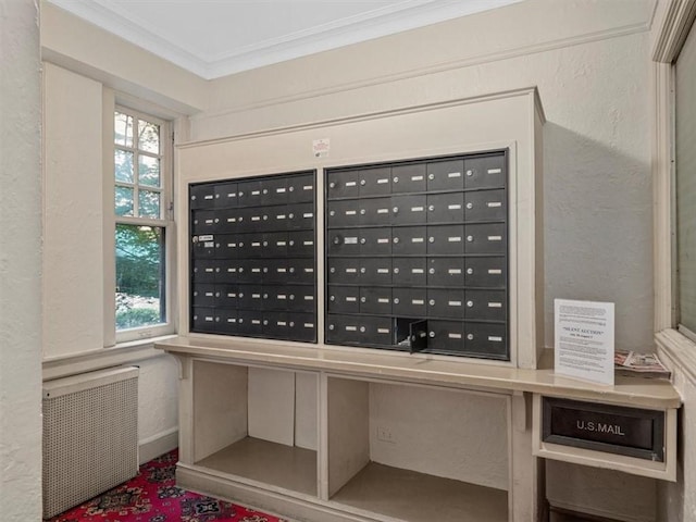 166 N Dithridge St Unit 3E, Oakland, PA 15213 - view of property's community featuring mail area, crown molding, and a textured wall