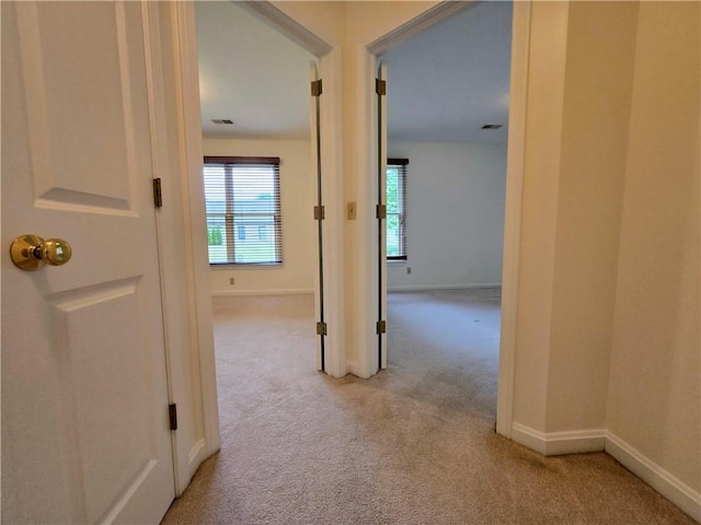 3205 Penny Ln, Neshannock Twp, PA 16105 - hallway featuring carpet and baseboards