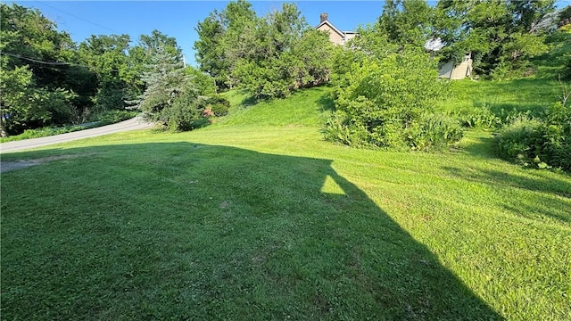 495 Pierson Run Rd, Plum Boro, PA 15239 - view of green lawn