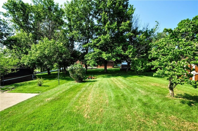 6437 Willem, Jefferson Hills, PA 15332 - view of green lawn