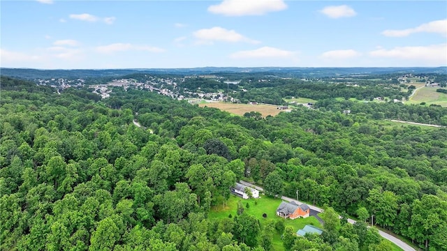 1042 Millwood Rd, Derry Twp, PA 15627 - photo 37
