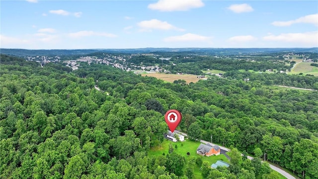 1042 Millwood Rd, Derry Twp, PA 15627 - photo 38