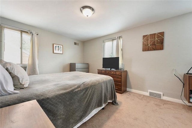 3905 Beechwood Blvd, Squirrel Hill, PA 15217 - bedroom featuring multiple windows and light colored carpet