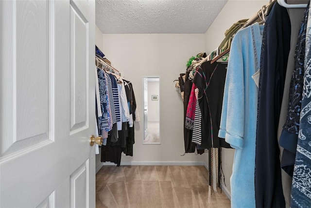 5113 Polo Fields Dr, Hampton, PA 15044 - spacious closet with carpet floors