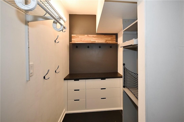 325 S Highland Ave Unit 105, Shadyside, PA 15206 - view of spacious closet