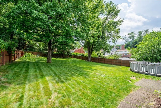 5833 Horseshoe, Bethel Park, PA 15102 - photo 34