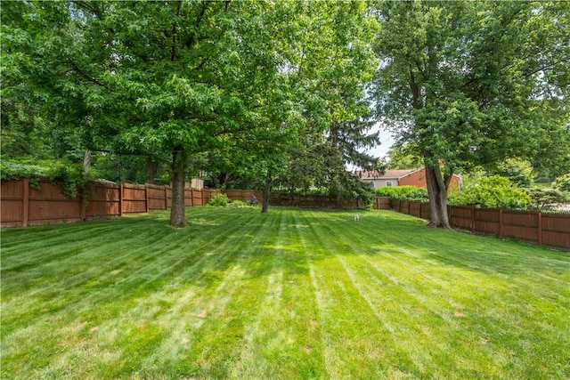5833 Horseshoe, Bethel Park, PA 15102 - photo 31