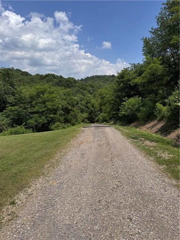 233 Grantz Hollow Rd, Bethel Twp, PA 15690 - view of road featuring a forest view
