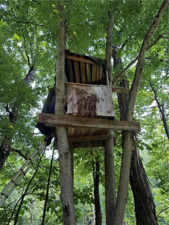 233 Grantz Hollow Rd, Bethel Twp, PA 15690 - exterior view of a heavily wooded area