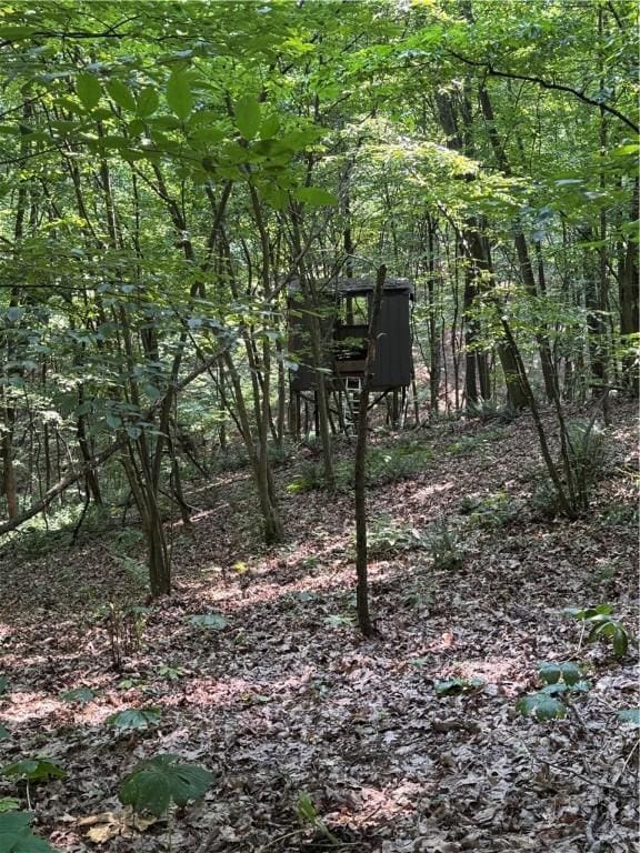 233 Grantz Hollow Rd, Bethel Twp, PA 15690 - view of undeveloped land