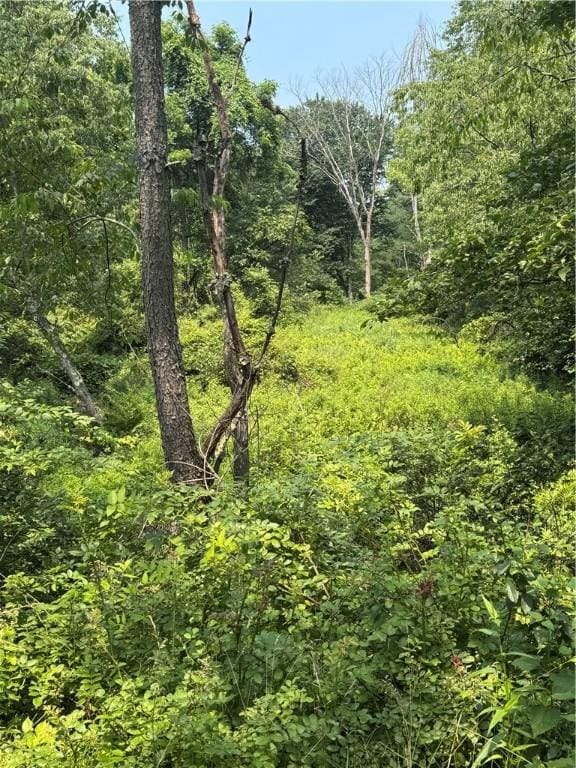 233 Grantz Hollow Rd, Bethel Twp, PA 15690 - view of tree filled area
