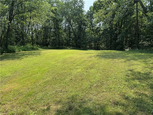 233 Grantz Hollow Rd, Bethel Twp, PA 15690 - view of grassy yard with a view of trees