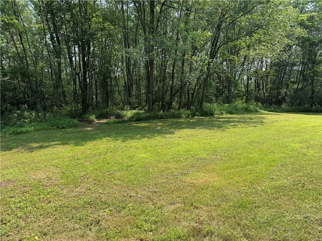 233 Grantz Hollow Rd, Bethel Twp, PA 15690 - view of grassy yard featuring a view of trees