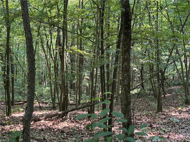 233 Grantz Hollow Rd, Bethel Twp, PA 15690 - view of wooded area