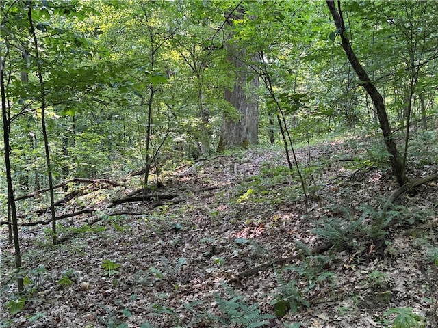 233 Grantz Hollow Rd, Bethel Twp, PA 15690 - view of tree filled area