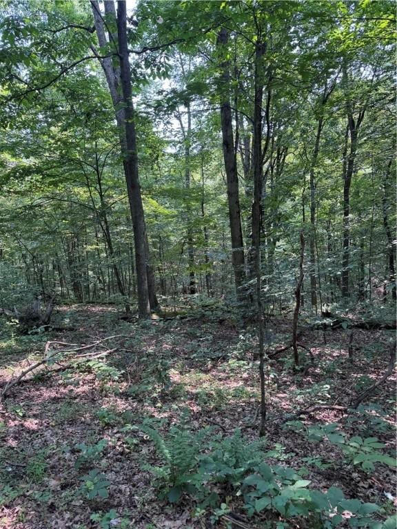 233 Grantz Hollow Rd, Bethel Twp, PA 15690 - view of tree filled area