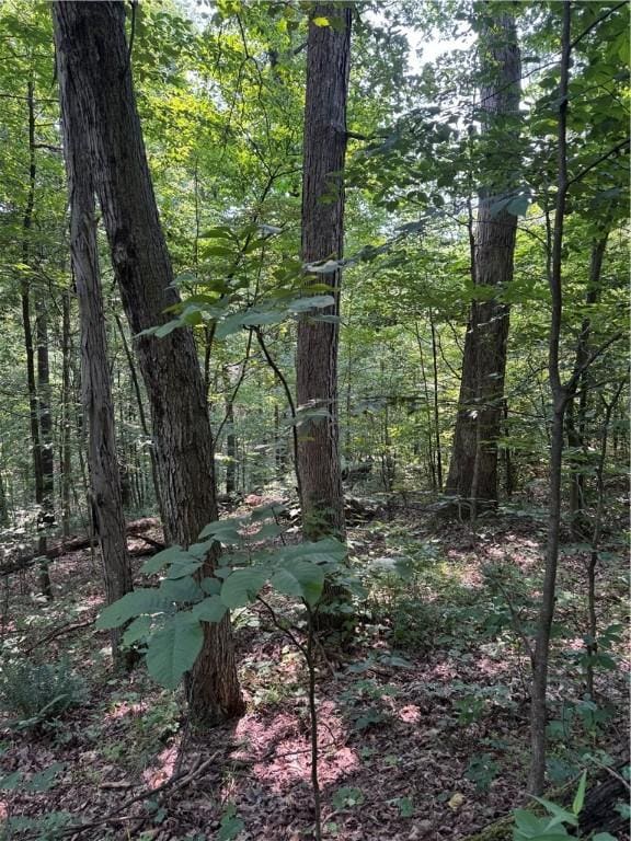 233 Grantz Hollow Rd, Bethel Twp, PA 15690 - view of wooded area