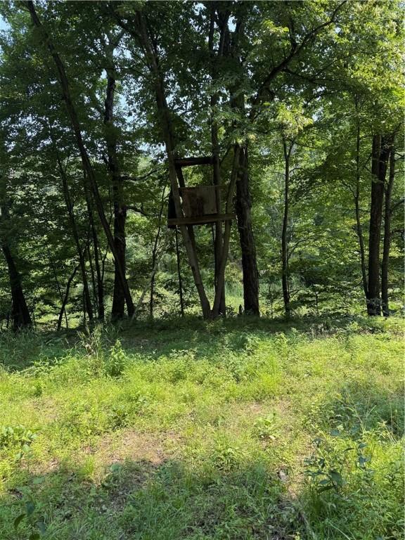 233 Grantz Hollow Rd, Bethel Twp, PA 15690 - view of tree filled area