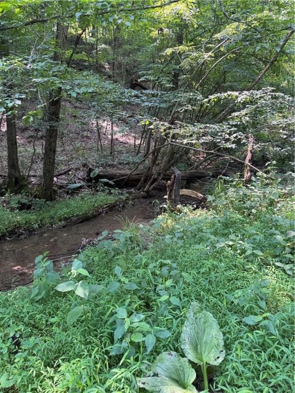 233 Grantz Hollow Rd, Bethel Twp, PA 15690 - view of nature