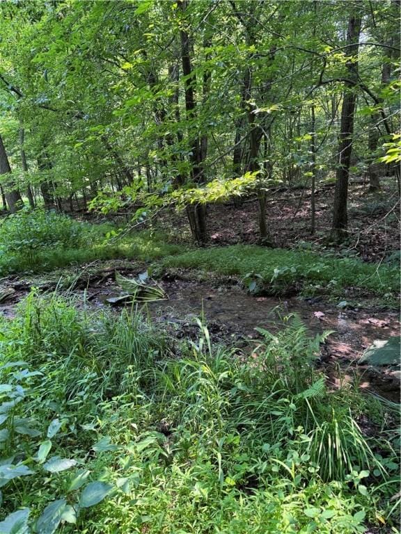 233 Grantz Hollow Rd, Bethel Twp, PA 15690 - view of nature