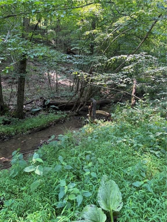 233 Grantz Hollow Rd, Bethel Twp, PA 15690 - view of nature