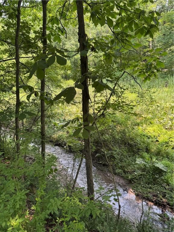233 Grantz Hollow Rd, Bethel Twp, PA 15690 - water view featuring a forest