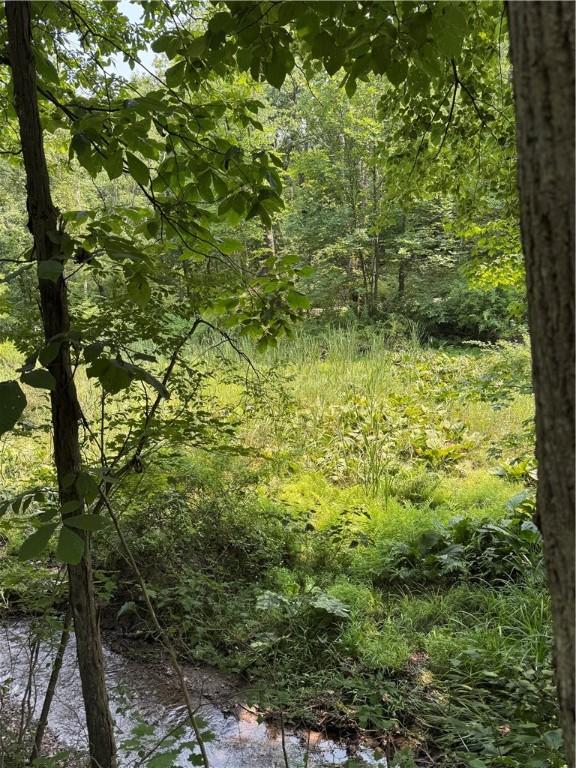233 Grantz Hollow Rd, Bethel Twp, PA 15690 - view of wooded area