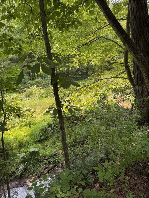233 Grantz Hollow Rd, Bethel Twp, PA 15690 - view of wooded area