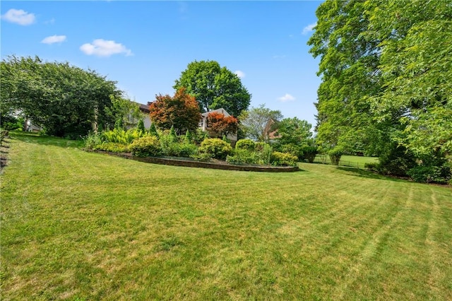 1026 Cambridge St, Harrison Twp, PA 15065 - view of green lawn