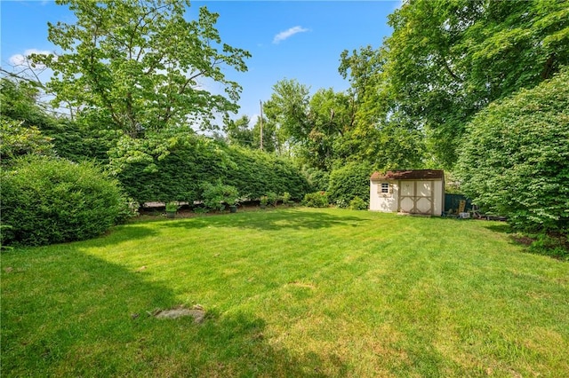 1026 Cambridge St, Harrison Twp, PA 15065 - view of green lawn with a shed