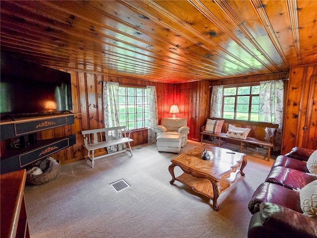 1638 Lake Rd, Pa, PA 16137 - carpeted living area with plenty of natural light, wood ceiling, and wooden walls