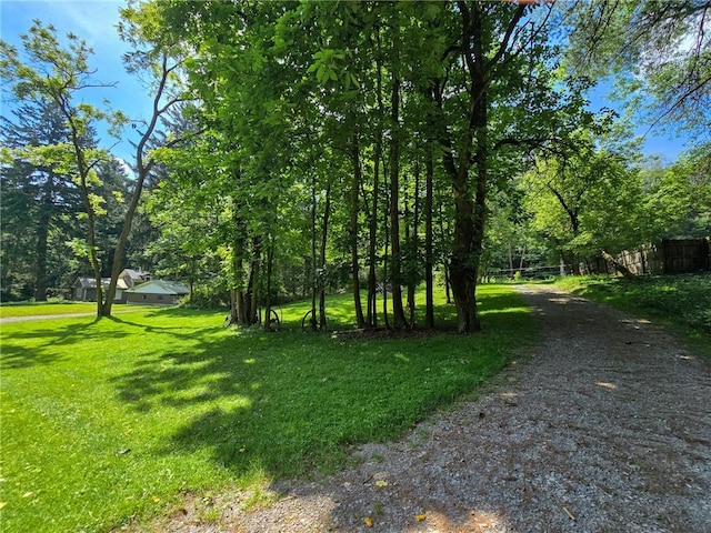 1638 Lake Rd, Pa, PA 16137 - view of yard