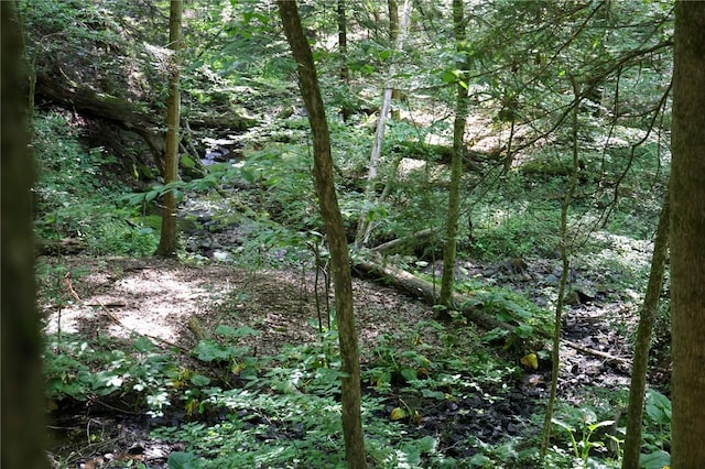 1638 Lake Rd, Pa, PA 16137 - view of woods