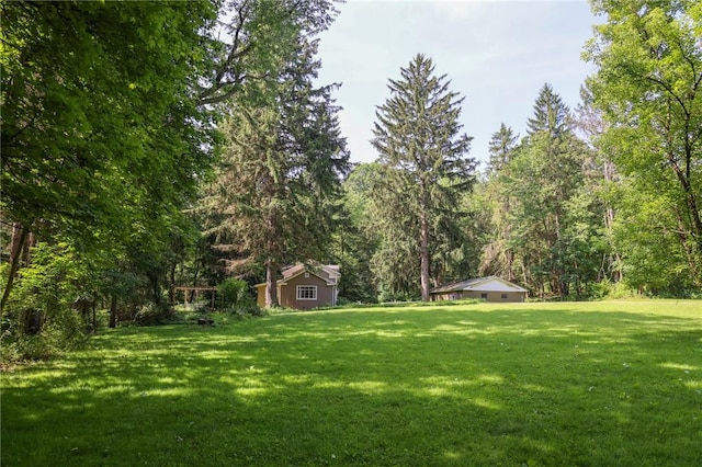 1638 Lake Rd, Pa, PA 16137 - view of green lawn