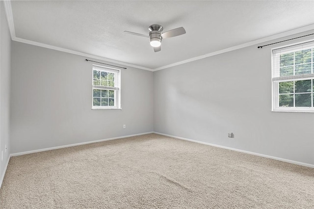 105 Camelot Dr, Mccandless, PA 15237 - spare room with ceiling fan, crown molding, and carpet flooring