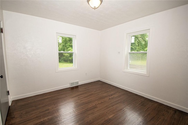 539 Park Ave, Monongahela, PA 15063 - unfurnished room with plenty of natural light and dark wood-type flooring