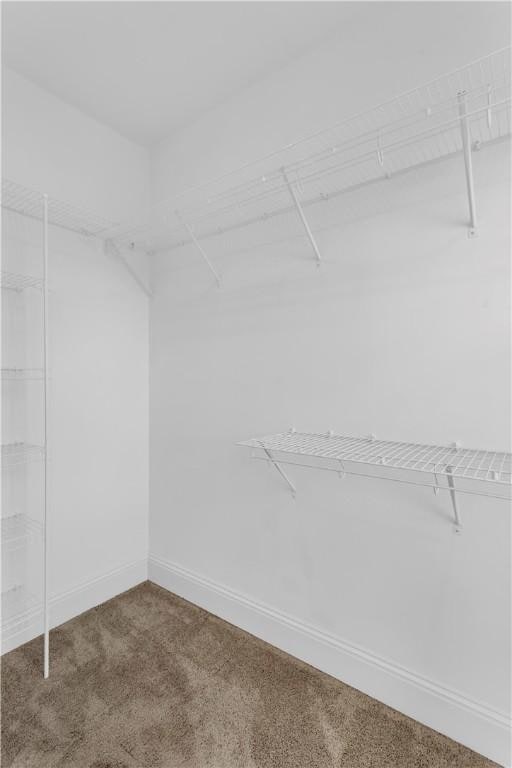 122 Haldane St, Crafton, PA 15205 - spacious closet with carpet