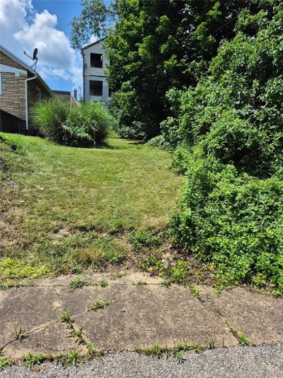 19 Charles St, Dravosburg, PA 15034 - view of grassy yard