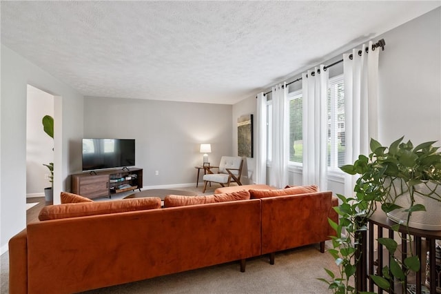 249 Clare Dr, North Strabane, PA 15317 - living area featuring light carpet and a textured ceiling