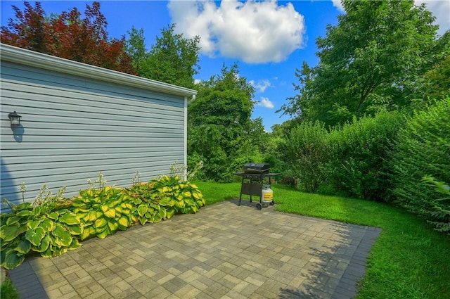 1009 Roselawn Ave, Harmony Twp, PA 15003 - view of patio / terrace with a grill